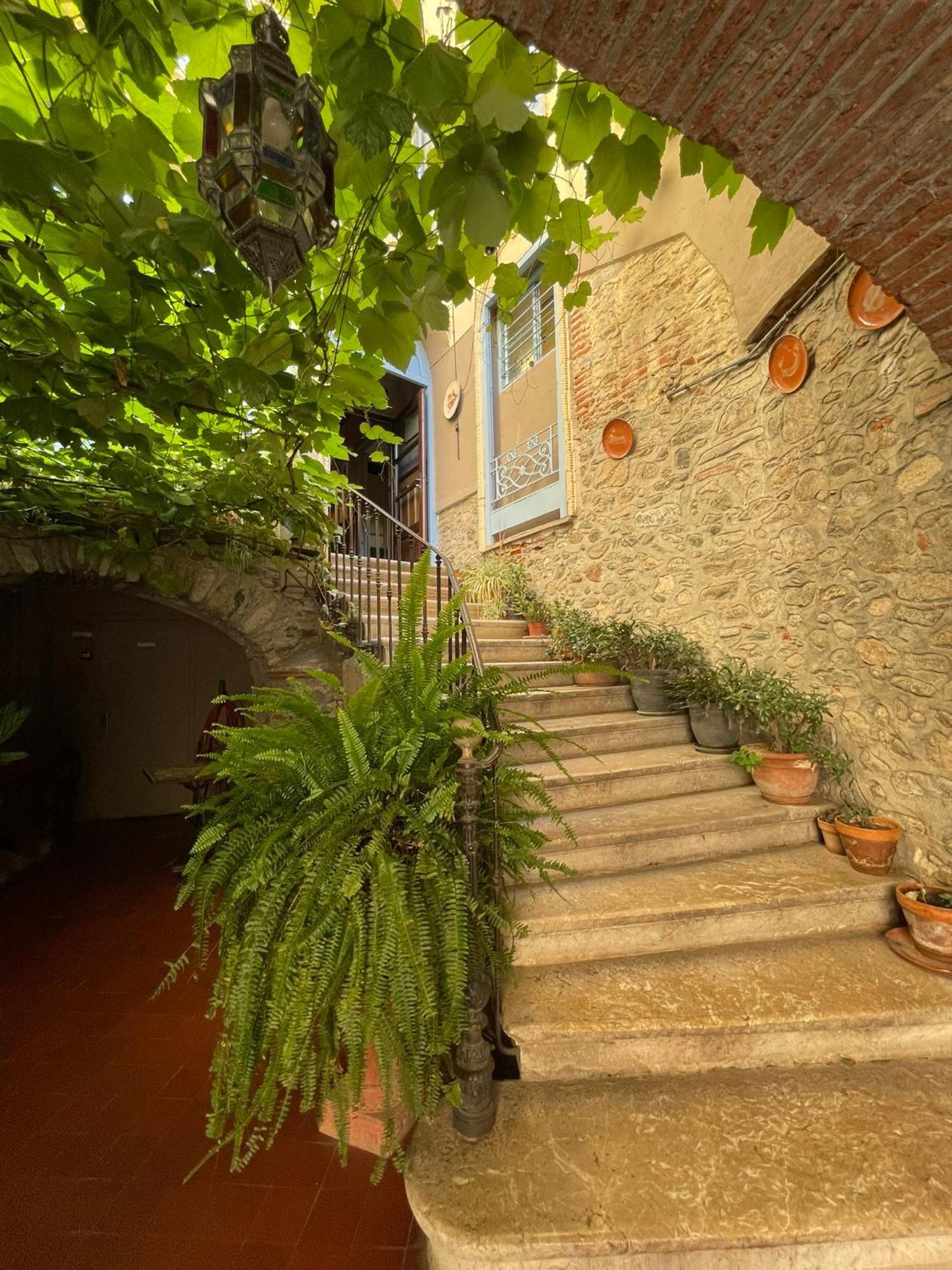 Hotel Vidal Céret Екстериор снимка